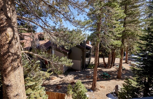 Appartamento, 2 camere da letto | Parco della struttura