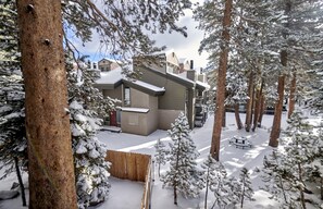 Ein modernes Haus, umgeben von schneebedeckten Bäumen.