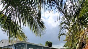 A rectangular swimming pool with a concrete edge, surrounded by a wooden fence and palm trees. - Great house on close to two acres with fishing pond (Oklahoma City)