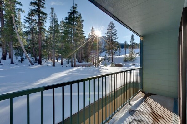 Condo, 1 habitación | Áreas de la propiedad