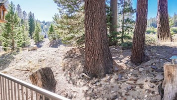 Condo, 1 Bedroom | Property grounds