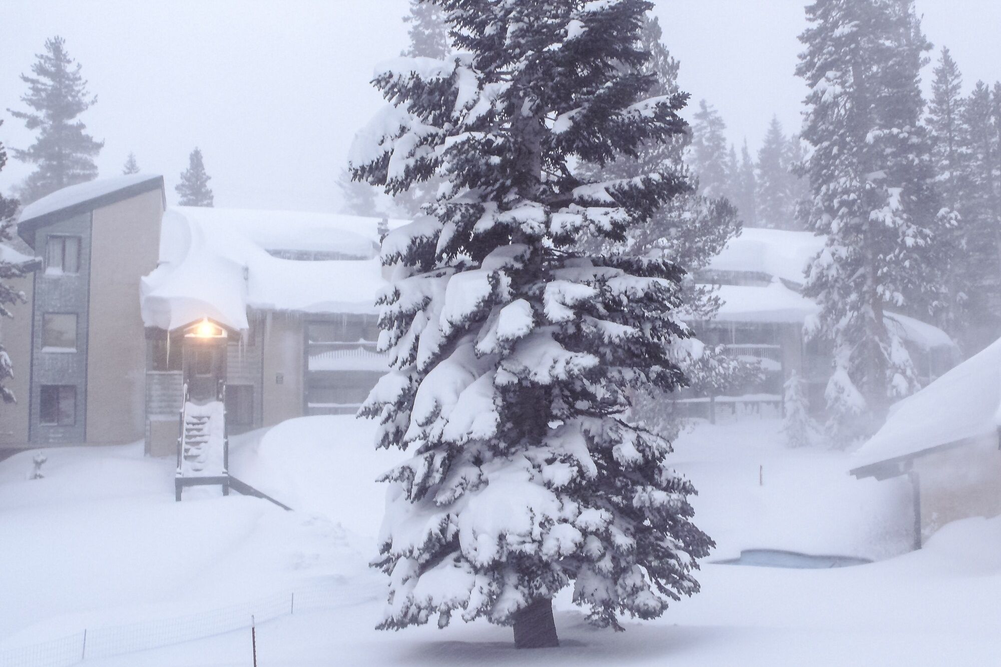 Condo, 1 habitación | Exterior