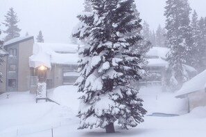 Condo, 1 Bedroom | Exterior