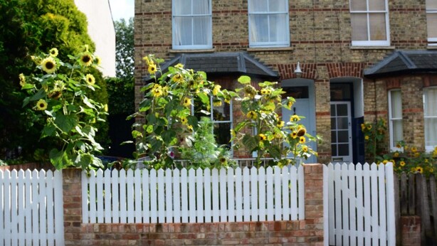 A residential building with a white picket fence, brick walls, and multiple windows.