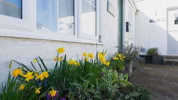 Cottage | Interni