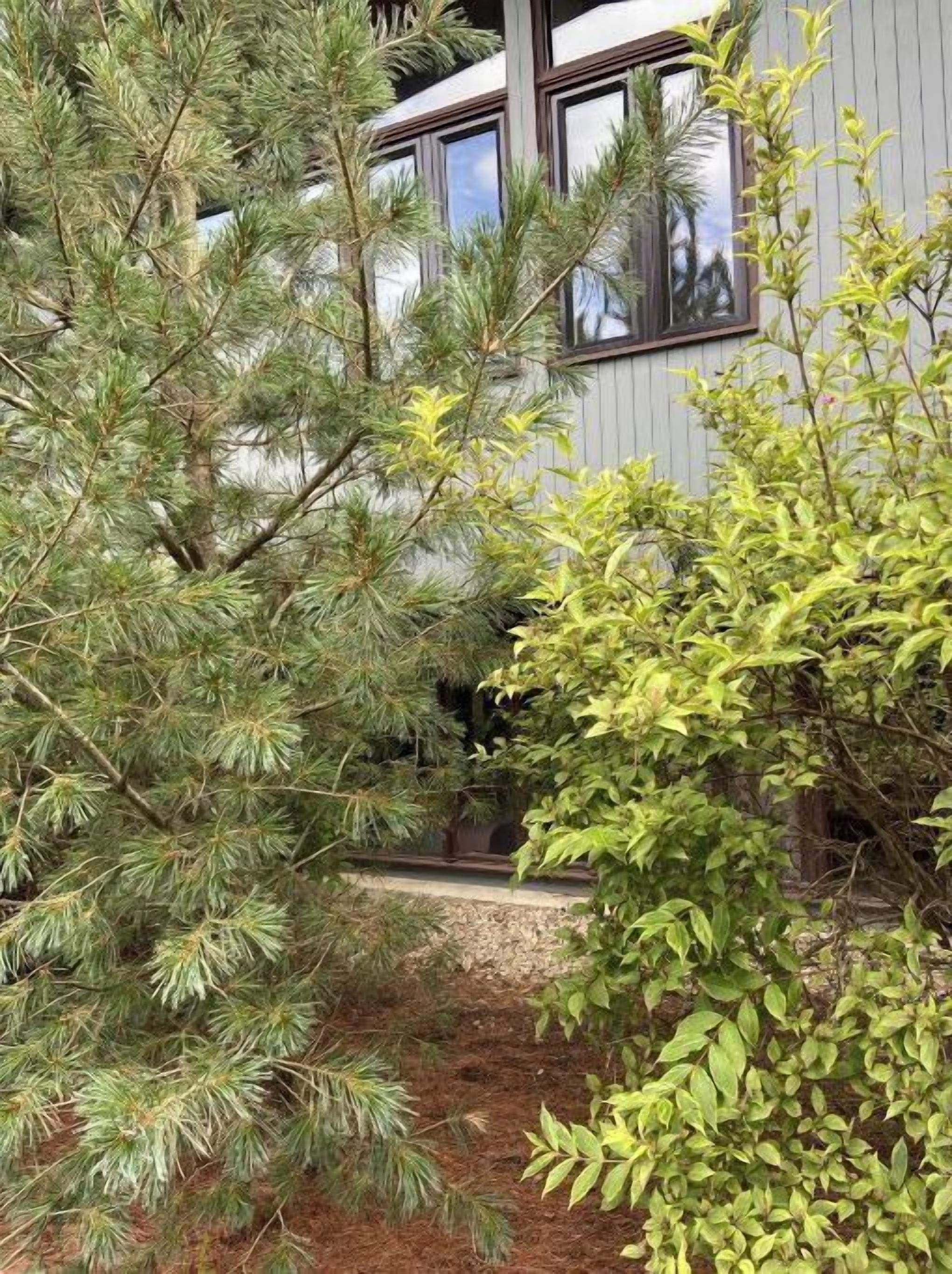 Ein Gebäude im modernen Stil, umgeben von einem Garten mit verschiedenen Bäumen und Sträuchern.