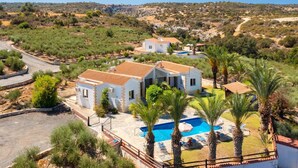 Une villa avec piscine, entourée de palmiers et située dans un paysage vallonné.