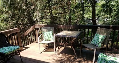 Harmony Lodge nestled in wooded tranquility!