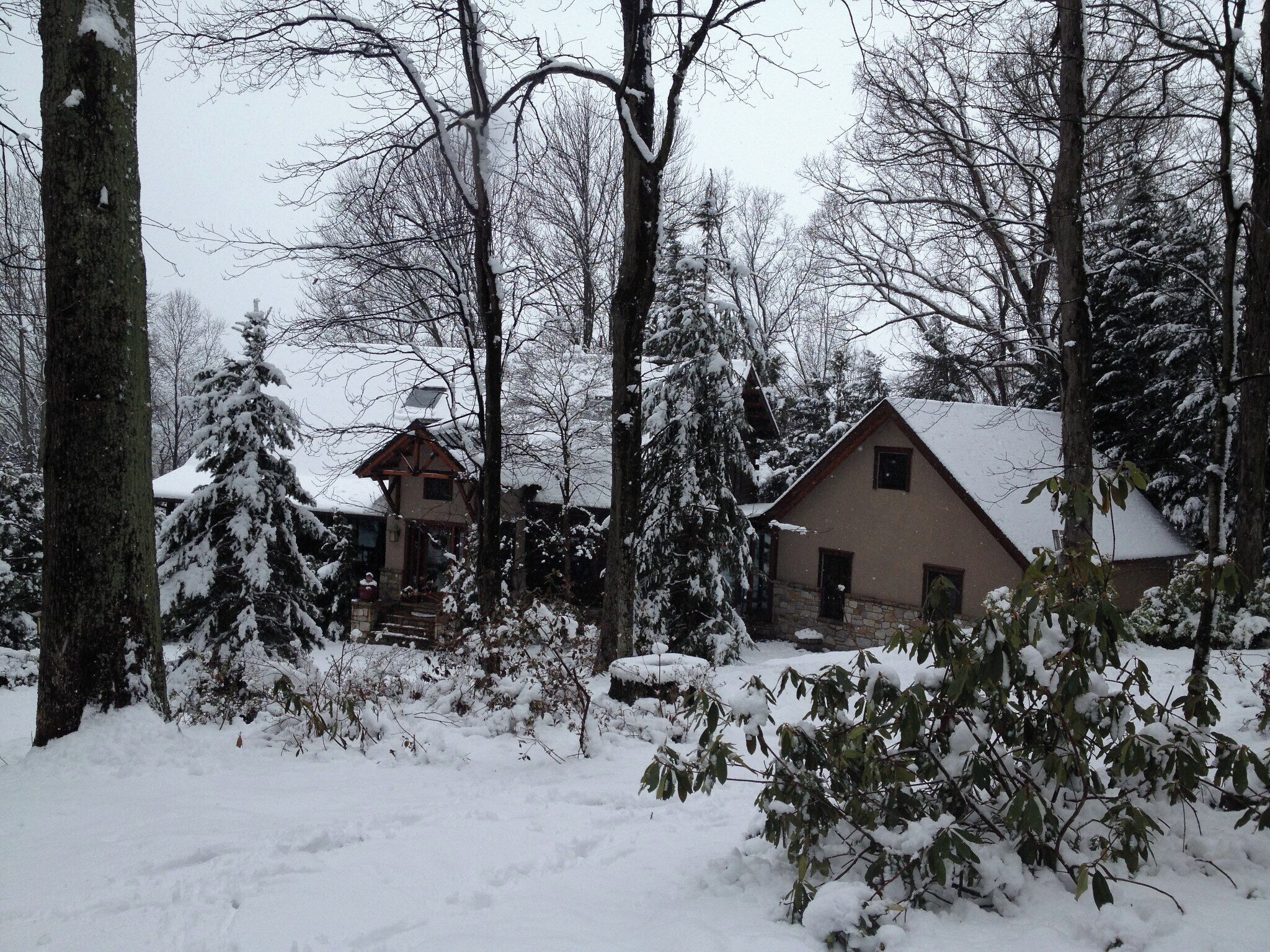 A snow-covered landscape with two houses surrounded by trees.