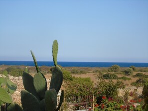 View from property - The 1800s nest house within the Vendicari reserve (Noto)