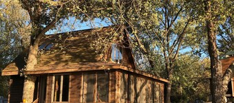 Cabin on the Mississippi River