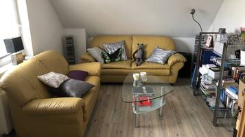 Smart-TV, DVD-Player, Bücher, Stereoanlage