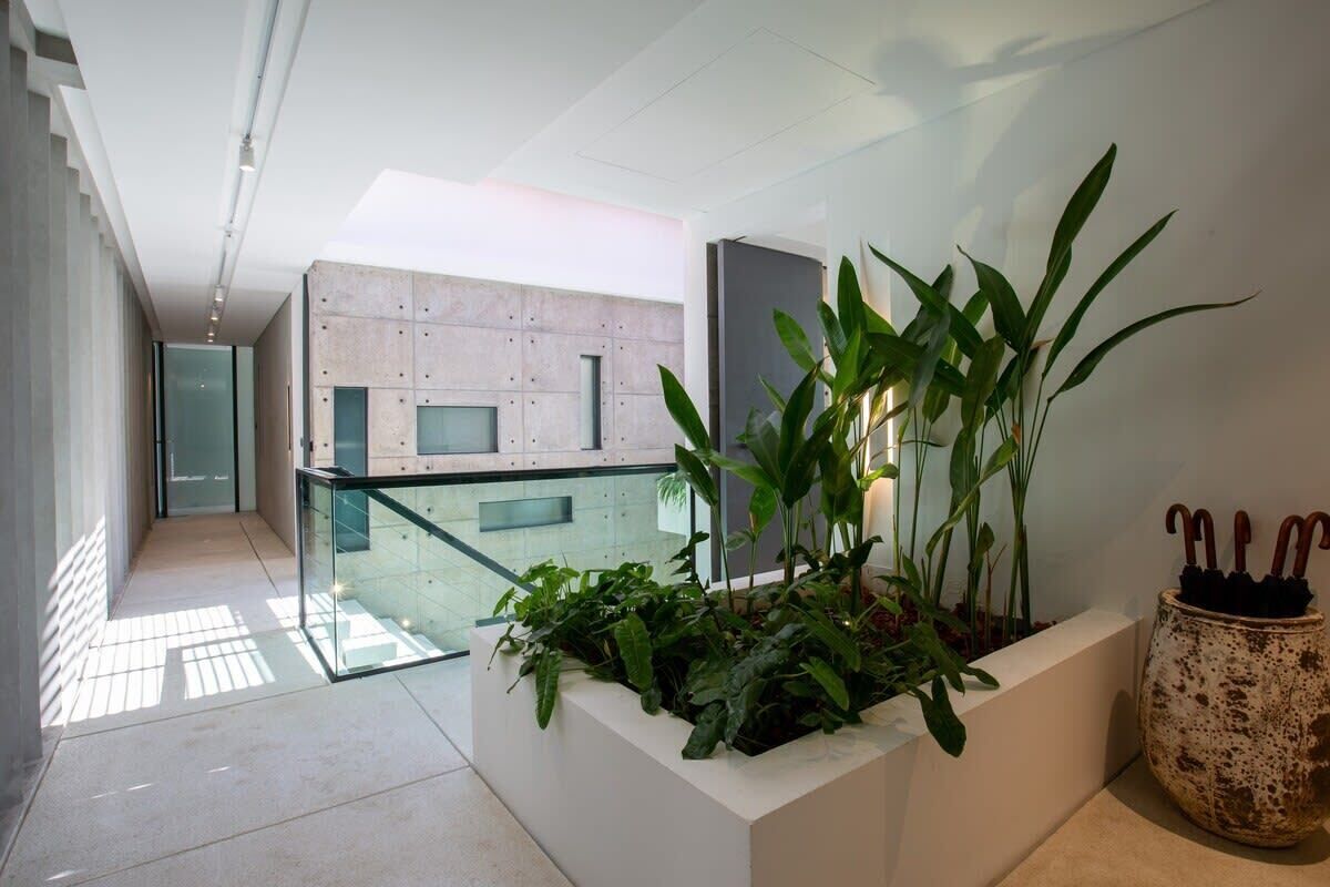 Un interior moderno con barandilla de vidrio, una jardinera con follaje y una maceta rústica con paraguas.