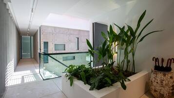 Un interior moderno con barandilla de vidrio, una jardinera con follaje y una maceta rústica con paraguas.