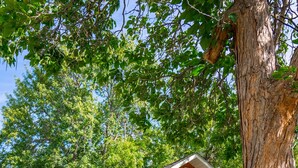 A green single-story house with a brick chimney, a front porch, and a mailbox. - Cozy, 2-bedroom vacation home. 1 mile to DT: Hot Tub, 86" TV, Golf & Fenced Yard (Sioux Falls)