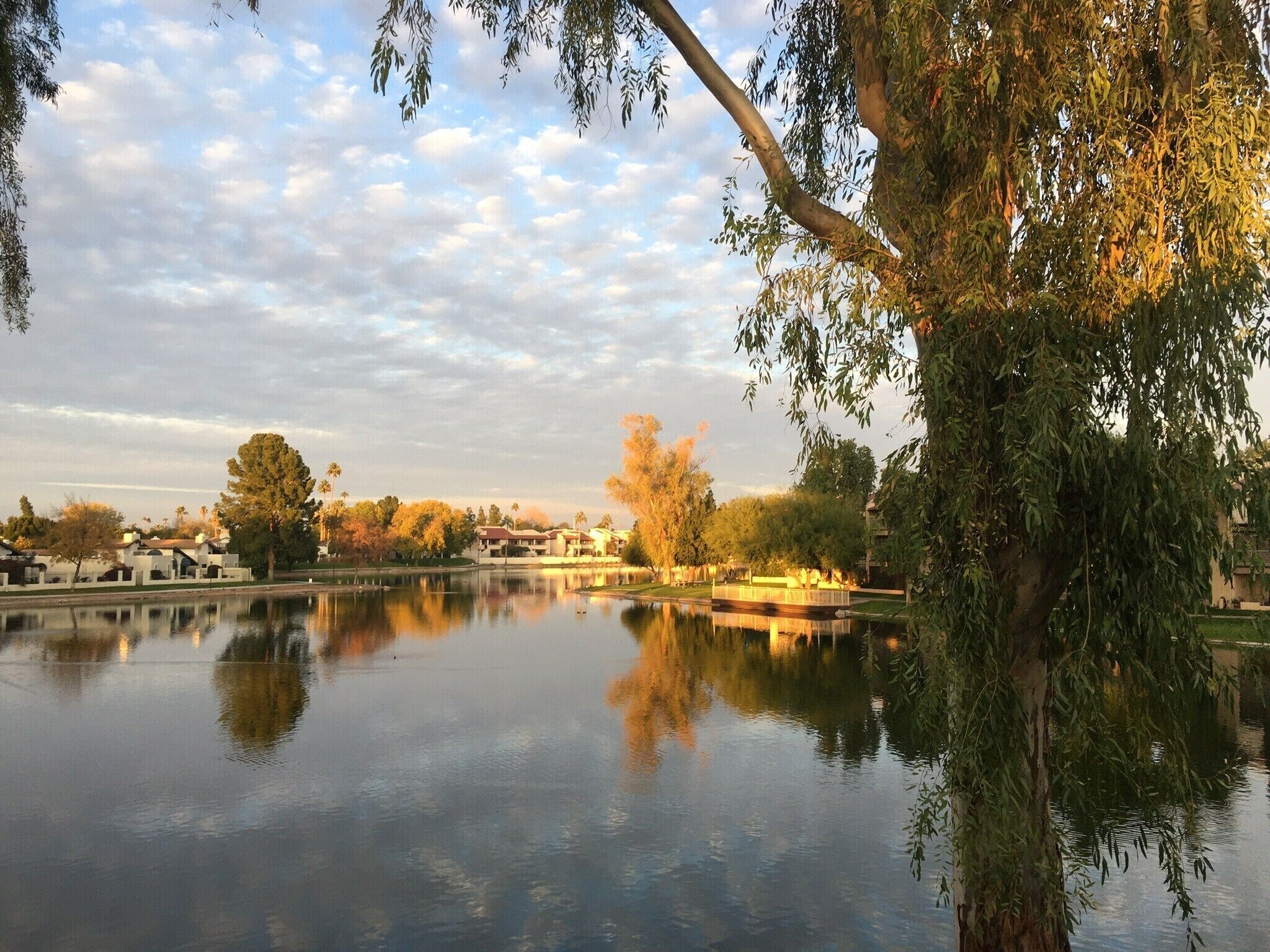 A calm lake with reflections of trees and buildings, surrounded by greenery and a clear sky.