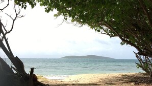 A beach with a sandy shore, a tree, and a view of the sea and distant land. - Caribbean Dream - located in the community of Coakley Bay! (Christiansted)