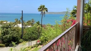 A balcony with a view of the ocean and palm trees. - Caribbean Dream - located in the community of Coakley Bay! (Christiansted)