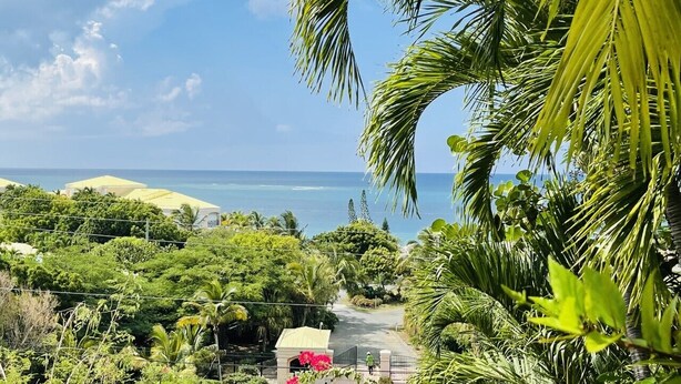 A tropical landscape with a view of the ocean, lush greenery, and a pathway leading to a building with a yellow roof. - Caribbean Dream - located in the community of Coakley Bay! (Christiansted)