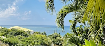 Caribbean Dream - located in the community of Coakley Bay!