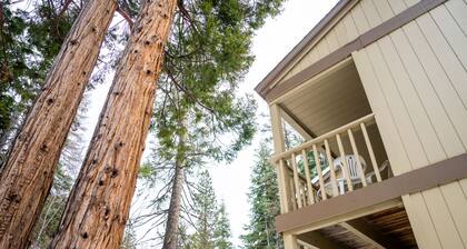 Cozy condo with shared pool and tennis courts near lake, Northstar, and more!