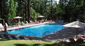 A summer pool with lounge chairs and umbrellas, surrounded by trees. - Cozy condo with shared pool and tennis courts near lake, Northstar, and more! (Kings Beach)