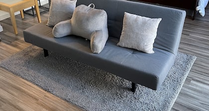 Lovely 1 Bedroom Studio located in Downtown Denver