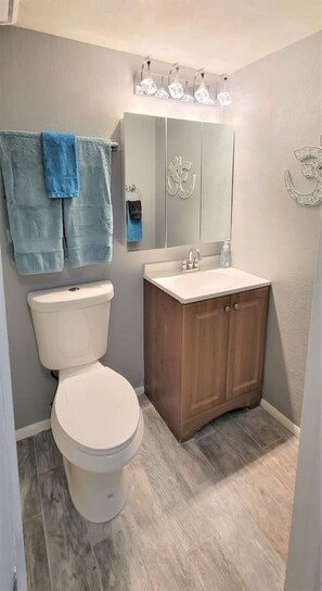 Combined shower/bathtub, hair dryer, towels, soap