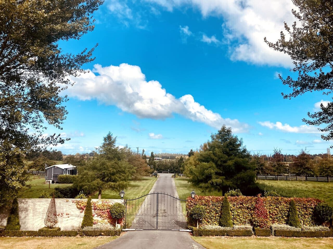 A rural road leading to a house with a fenced yard and a clear sky.