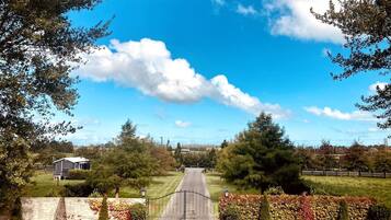 A rural road leading to a house with a fenced yard and a clear sky.