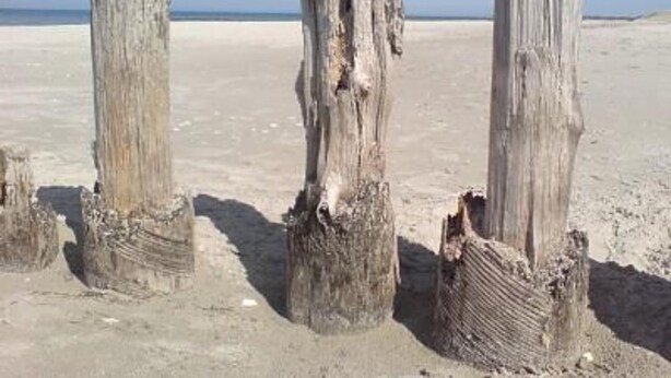 Trois vieux poteaux en bois, usés par les éléments, sur une plage de sable.