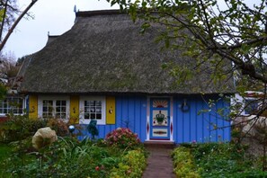 A thatched-roof house with a blue door and yellow shutters.