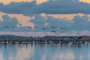 Imagem sem classificação, 3 de 27, botão