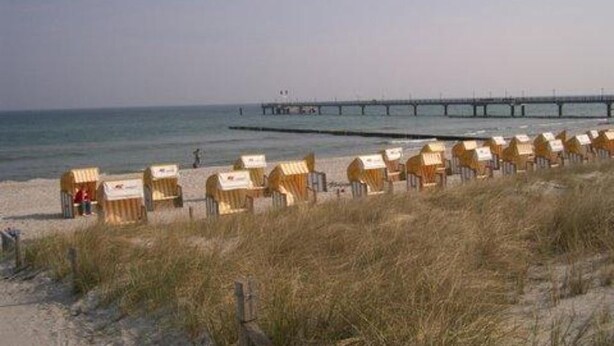 Una spiaggia con file di sedie a sdraio di legno e un molo sullo sfondo.