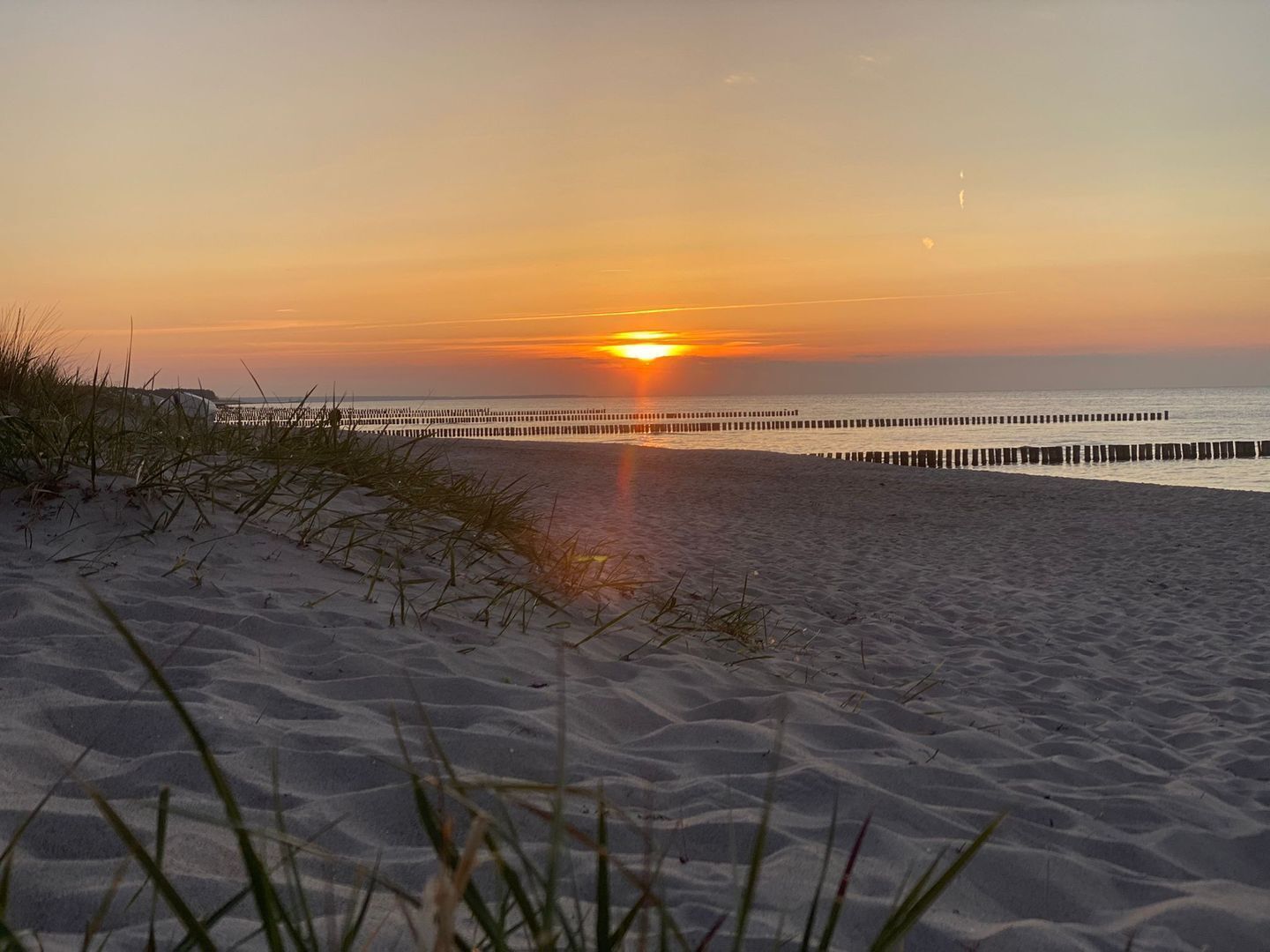 Een strand met een houten pier die zich uitstrekt over het water, omringd door zand en schaarse begroeiing.