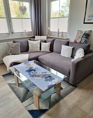 Fernseher, Stereoanlage