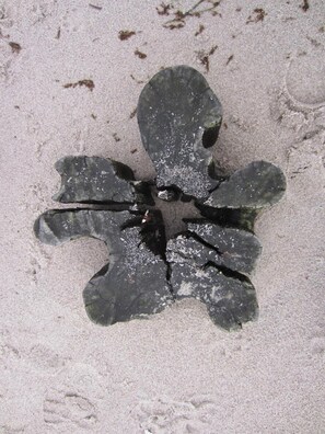 Niet-geclassificeerde afbeelding, 4 van 14, knop