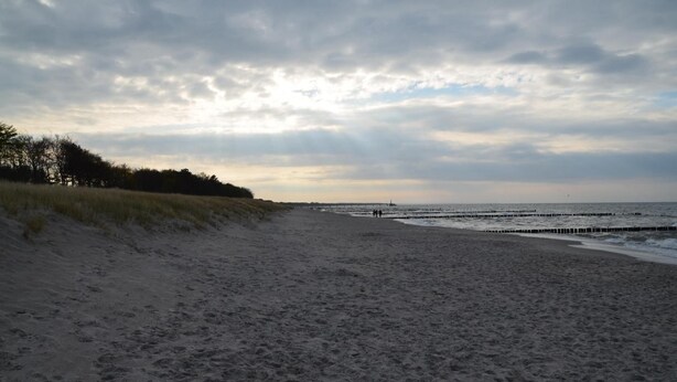 A beach with a sandy shore, grassy dunes, and a pier extending into the water. - Birkenstrasse 21c Whg. 19 "Strandtraum" - Spacious, comfortable, freshly renovated (Zingst)
