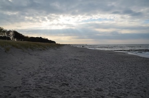 A beach with a sandy shore, grassy dunes, and a pier extending into the water.