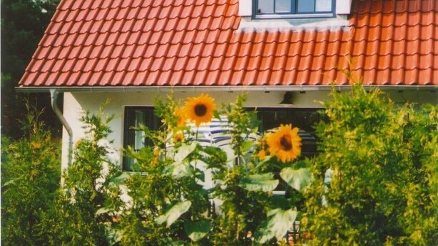 Ett hus med ett rött tegeltak, ett litet fönster och en solros framför.