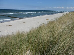 Une plage avec du sable et de l’herbe.