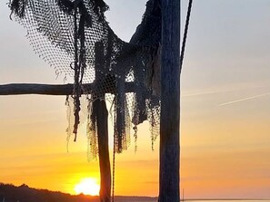 Unclassified image, 4 of 36, button