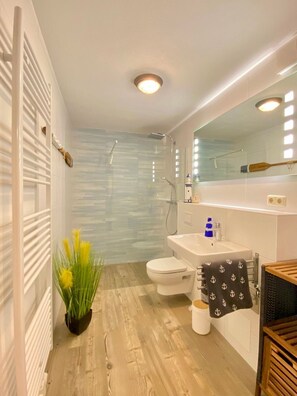 Shower, hair dryer