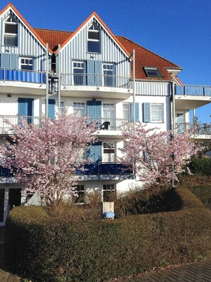 A multi-story building with balconies, a red-tiled roof, and pink flowering trees in front.