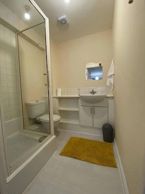 A bathroom with a glass shower enclosure, a toilet, a sink, and a mirror.