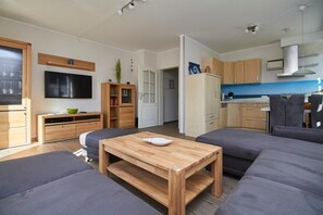 TV, DVD player, stereo - Neue Reihe 43 "Villa Regulus" ground floor (Whg. 1) - Cozy vacation apartment in the heart of the city (Zingst)