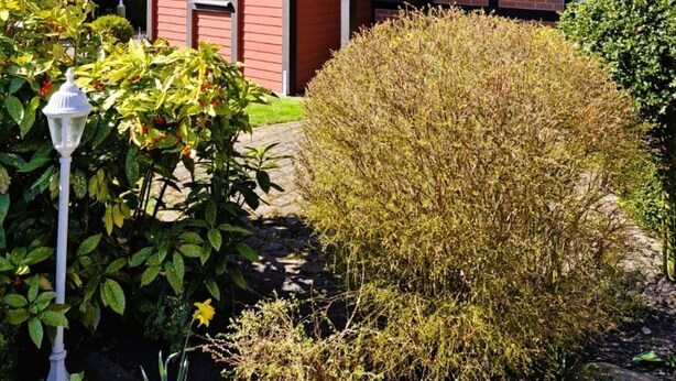 Een huis met twee verdiepingen, met een rode bakstenen gevel en donkere houten details.
