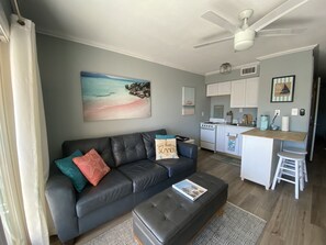 Smart TV, books - Just Beachy (Corpus Christi)