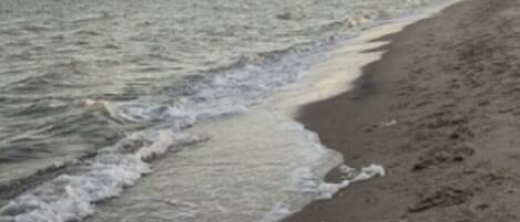 ビーチの近く、サンラウンジャー