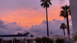 A swimming pool with people enjoying the water, surrounded by palm trees and a white fence. - Just Beachy (Corpus Christi)
